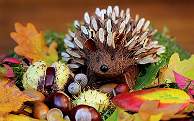 Herfstsprookje in De Tsjerne door Wilhelmini’s