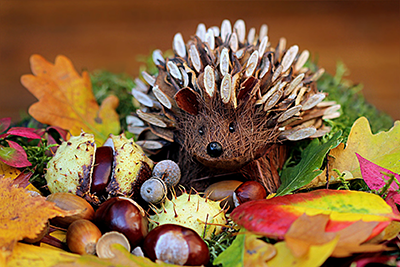 Herfstsprookje in De Tsjerne door Wilhelmini’s