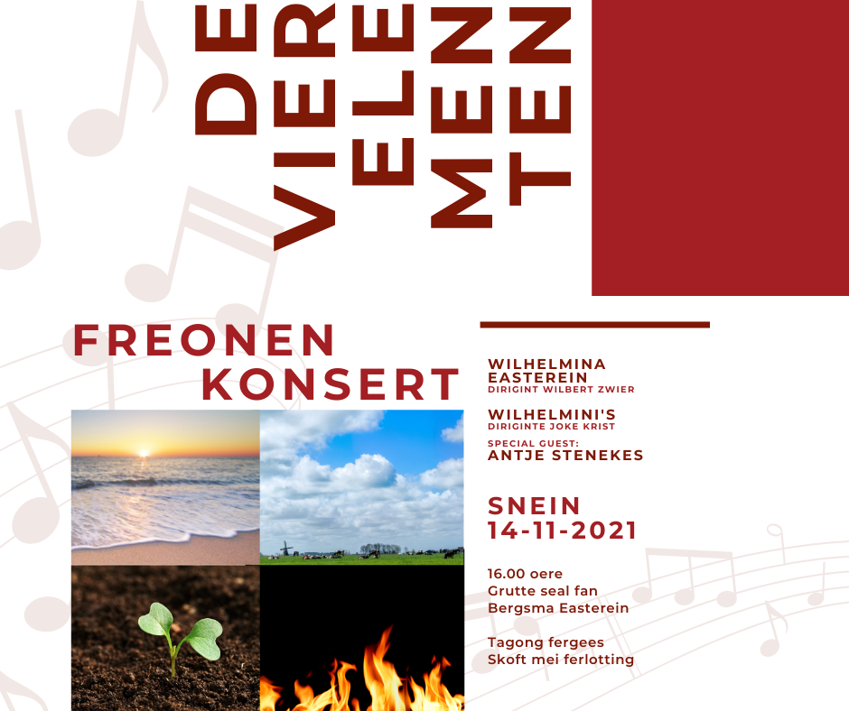 Freonenkonsert / Vriendenconcert op zondag 14 november